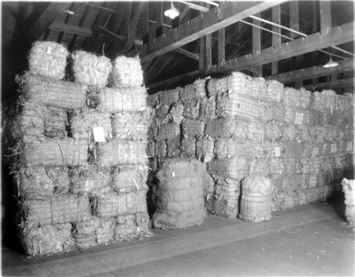 Bales of abaca fibers at the Charlestown Navy Yard. This was the first step in making manila rope.
