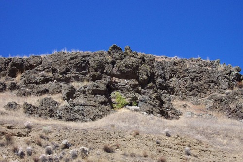 A dark colored basalt rock outcropping on a hillside.