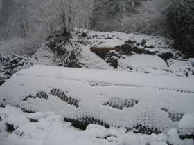 Boston Creek washout of Cascade River Road