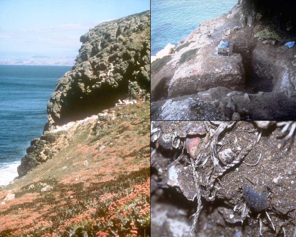 San Miguel’s 600 archeological sites reveal occupation by American Indians back to 10,700 years before the present. The 1995 discovery of sea grass basketry and cordage fragments are the oldest to date on the Pacific coast.