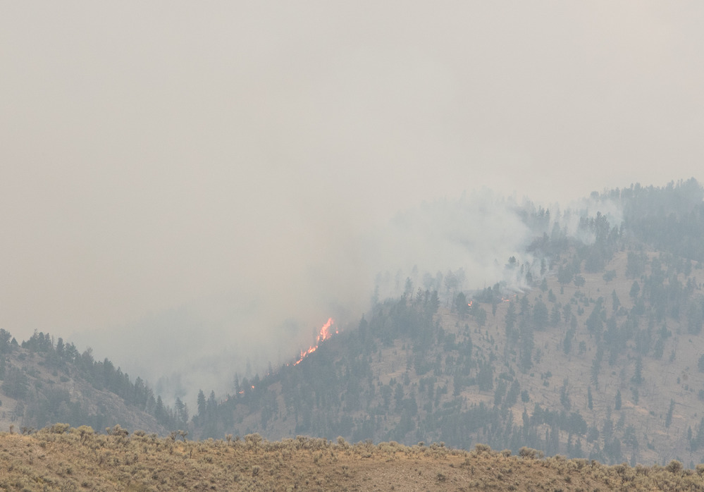 Buffalo Fire near Slough Creek