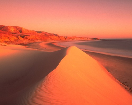 Strong northwesterly winds constantly shape and sift the fine-grained, white sand dunes near China Camp.