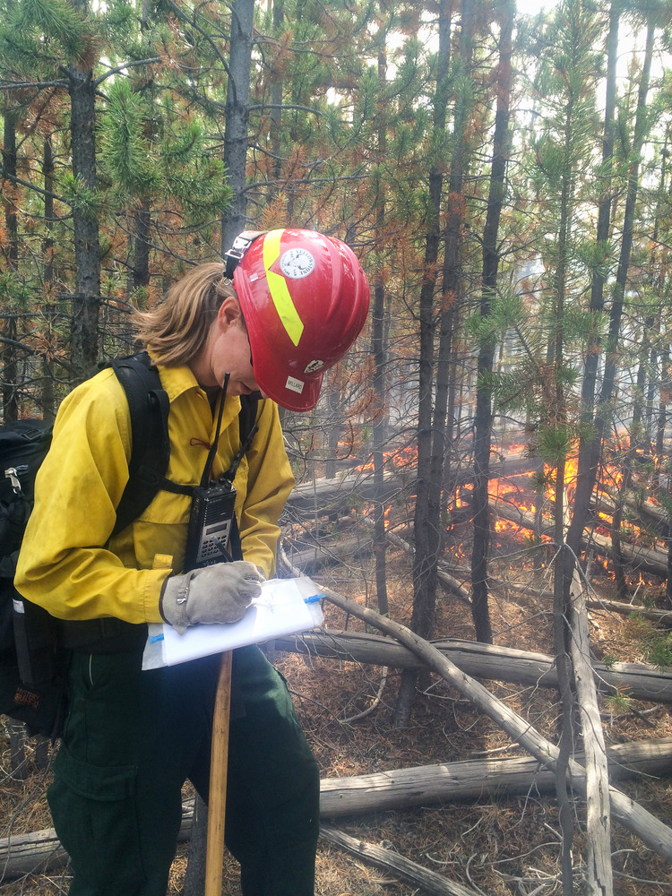 Fire effects crews monitoring the Maple Fire