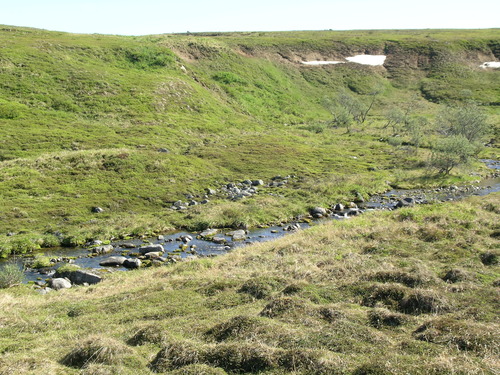 Stones are scattered in a shallow stream, surrounded by sloping green banks.