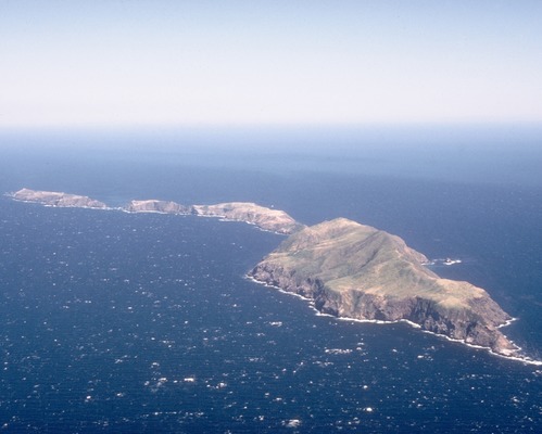 Anacapa Island’s steep, isolated slopes provide excellent nesting sites for a variety of land and sea birds.