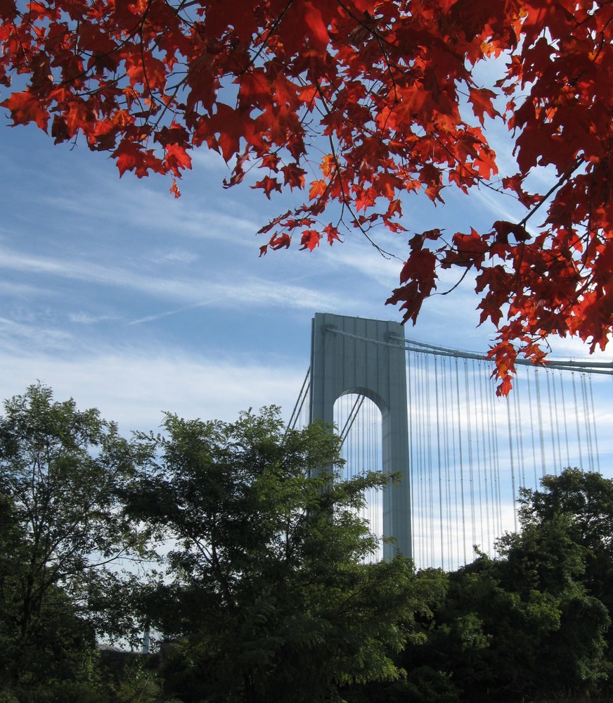 Fall foliage at Fort Wadsworth, with the Verrazano Narrows Bridge in the background.