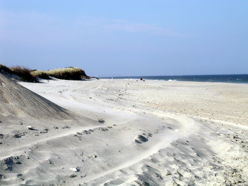 View of Sandy Hook Beach