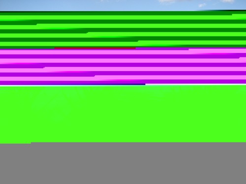 East Pond at the Wildlife Refuge