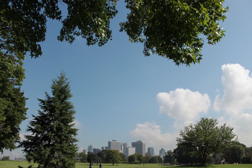 Many different trees inhabit Governors Island. Unfortunately all trees are non-native. Very early in the island's human history, the Dutch harvested the trees were used to build their new settlement on the lower half of Manhattan.
