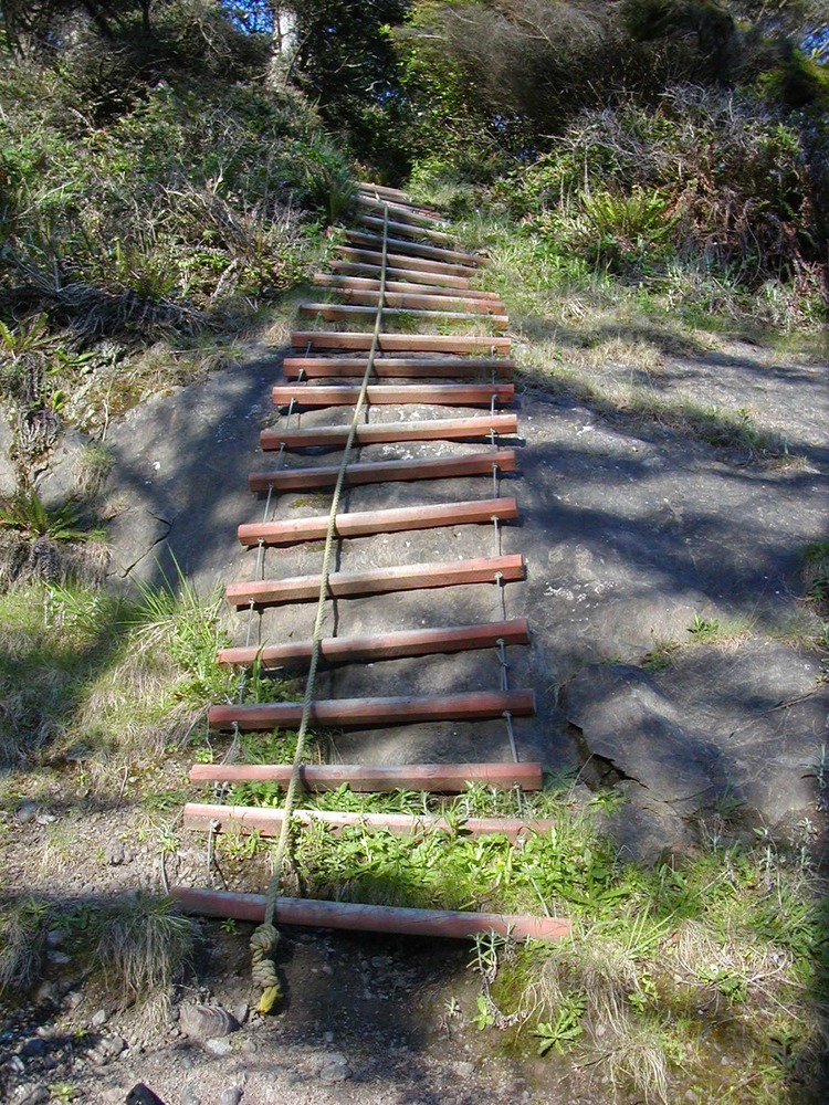 Coastal Ladder