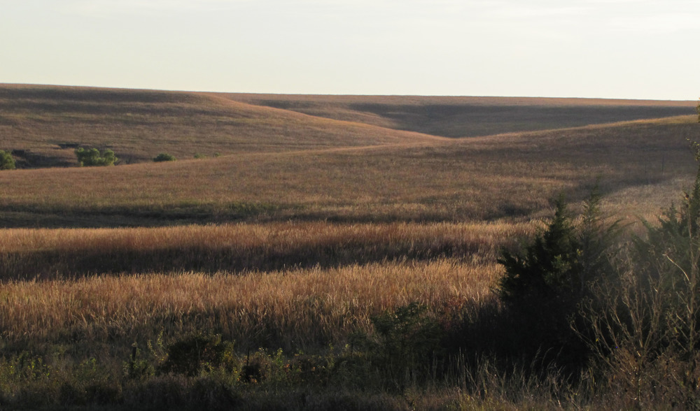 Sunset falls across the beautiful Flint Hills with tall grasses showing on the hills