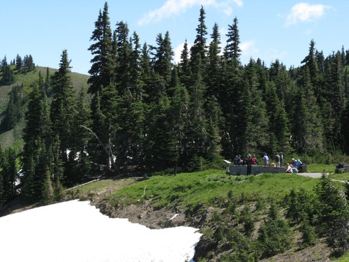 It sometimes takes all summer for the snow to melt completely on Hurricane Ridge .