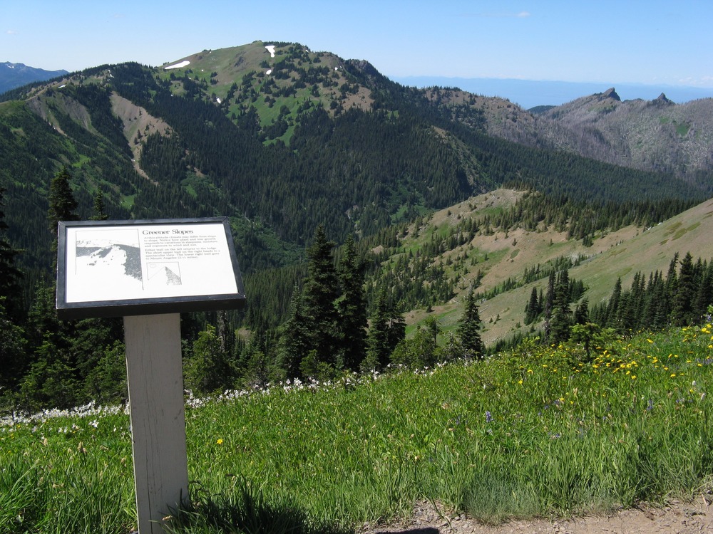 Bulletins along the Hurricane Ridge trails provide useful information for those interested in learning about the flora and fauna of the area.