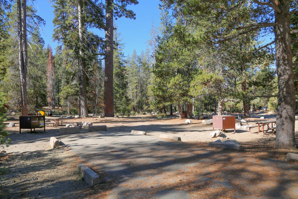 Large open sites for RVs and trailers