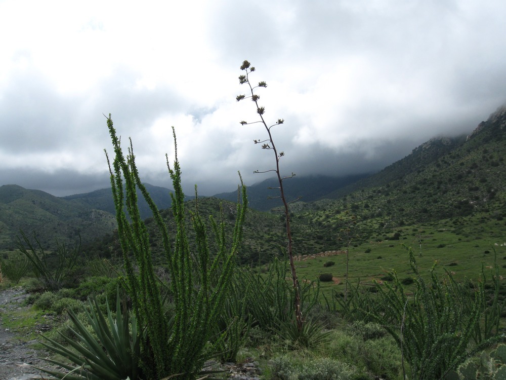 Summer monsoon clouds gather over the fort.