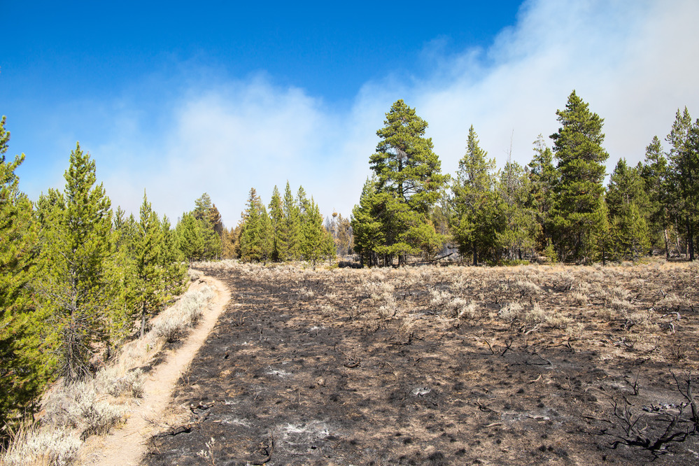 Maple Fire, September 10, 2016