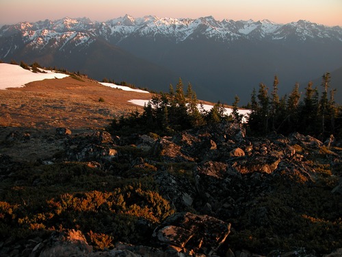 Olympic Mountains in Spring