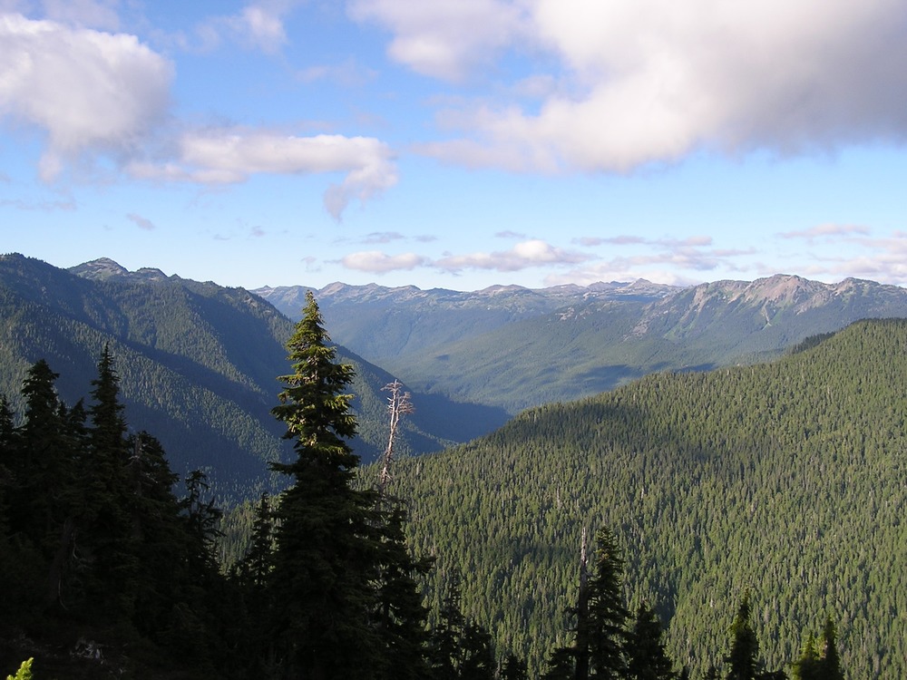 Upper Elwha River Basin