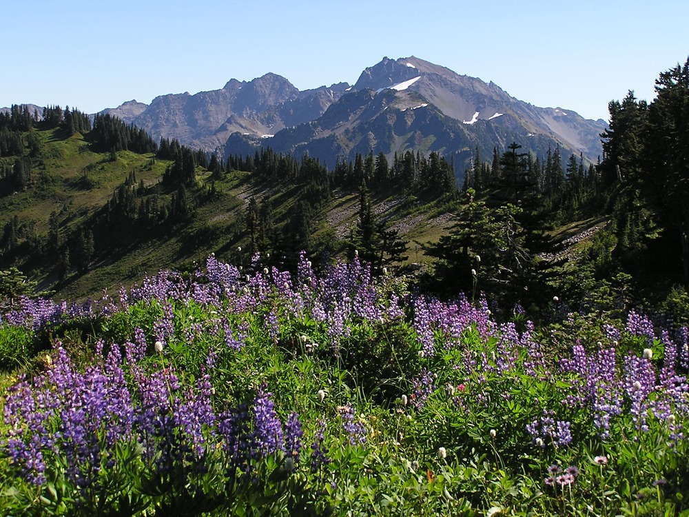 Cat Peak & Mt. Carrie from High Divide