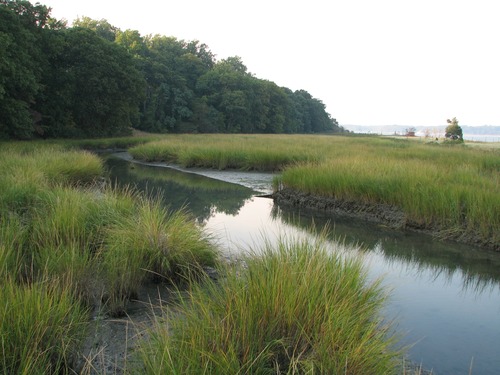 Eel creek taken from the Sagamore Hill footbridge