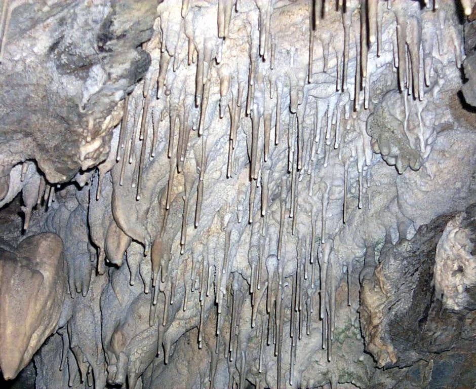 Soda straw stalactites found in the Petrified Gardens.