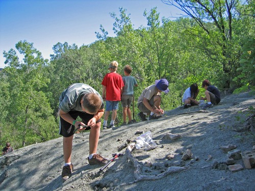 Junior Rangers fan out across the rocky slope to search for fossils.