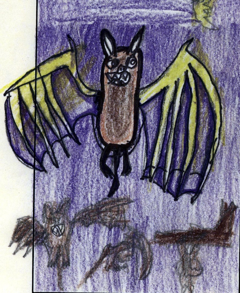 child, drawing, oregon caves, field trip