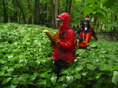 Surveys are conducted no matter the weather