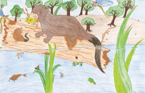 Grand Prize Winner, Mighty Mississippi, 2011. Otters are returning to the Mississippi River.