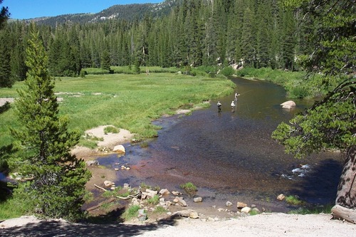 The San Joaquin River runs through Soda Springs Meadow, creating ample fishing opportunities in the Monument.