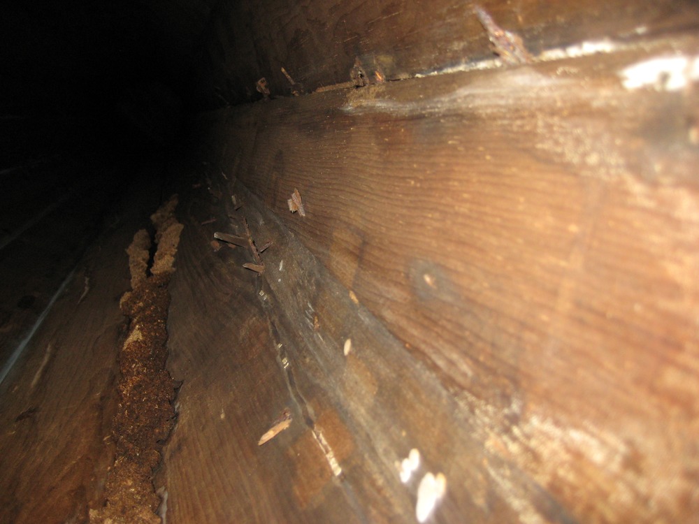 Here's a side of the house you may never see again. This is the inside of one of the doric columns on the front of the house.