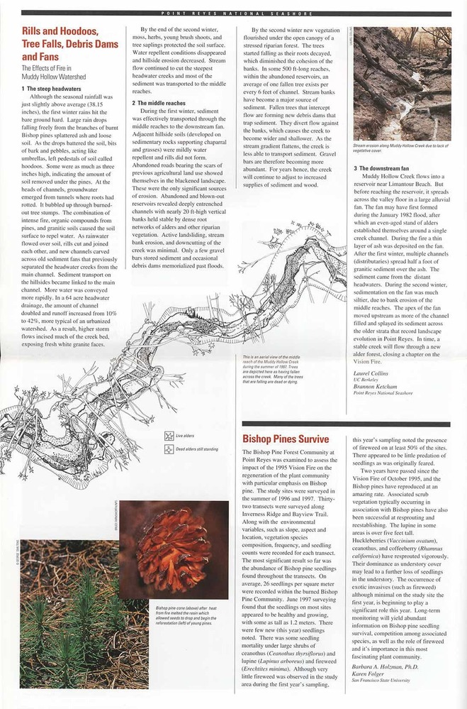 Vision Fire: Burning Issues in Fire Management Newsletter page 2