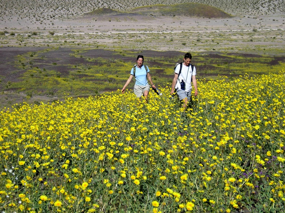 The spring bloom of 2005 attracted visitors from around the world.
