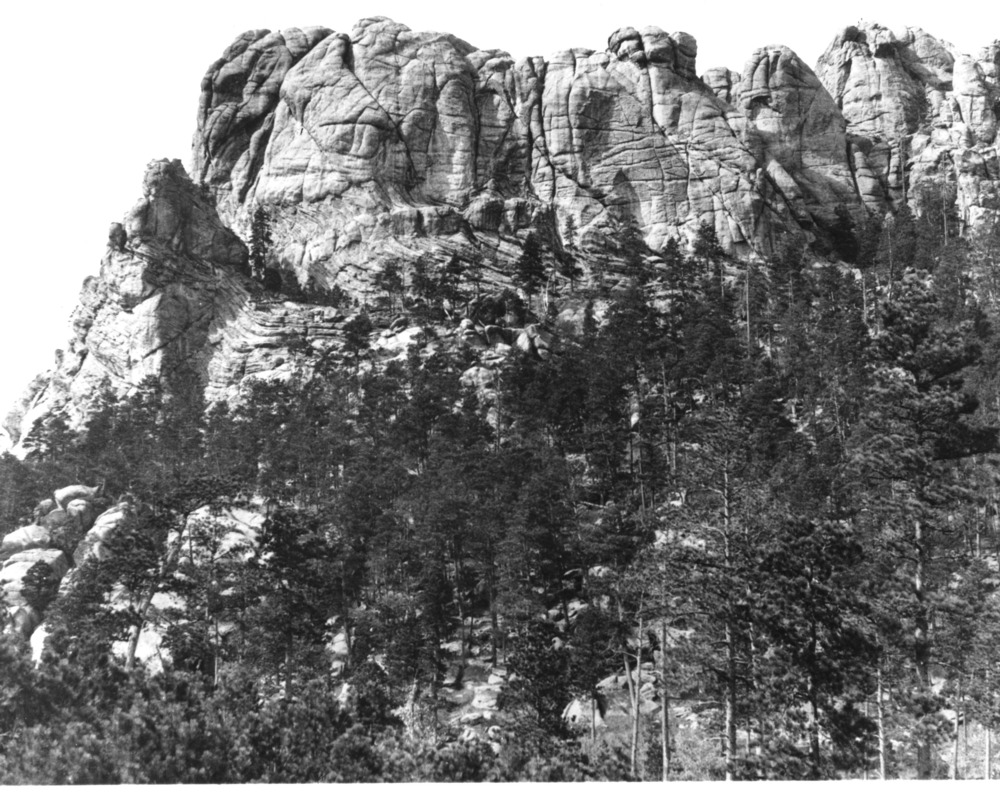 A black and white photograph of the Mount Rushmore prior to any carving.  The granite face of the mountain has numerous vertical cracks and crevices.  The lower third of the image is covered by ponderosa pine trees.