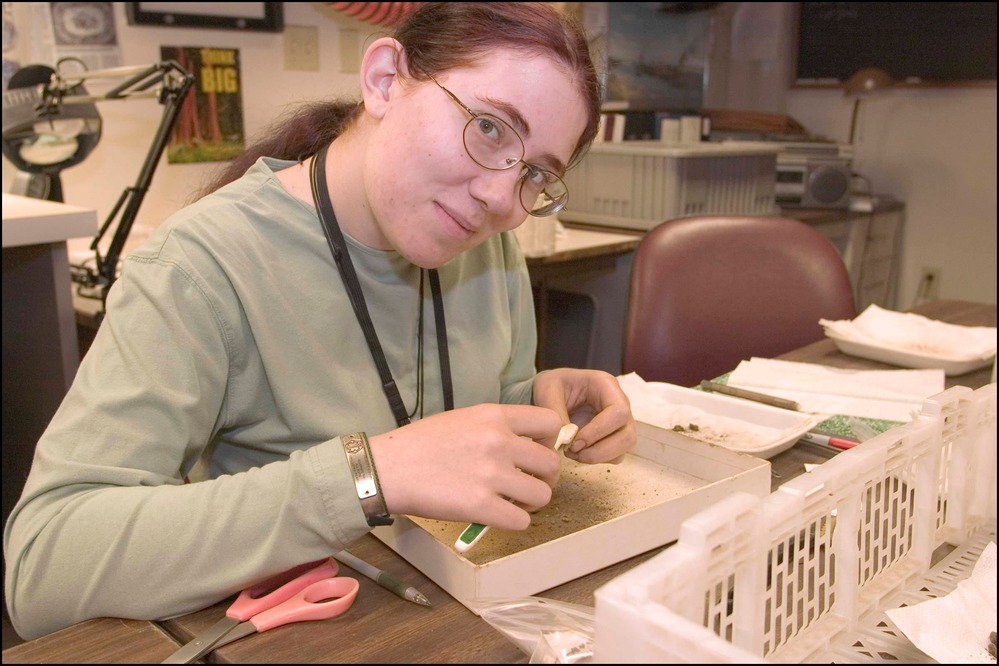 A student in the 2005 Archaeology Field School studies an artifact in the park's collection.