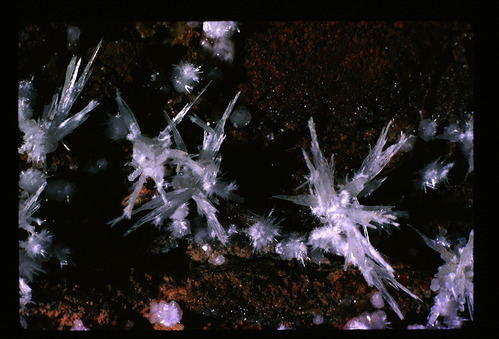 A formation resembling frost needles on iron-rich sediment in Jewel Cave