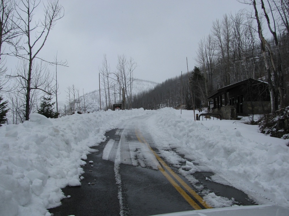 Looking towards the Loop with the comfort stations on the left