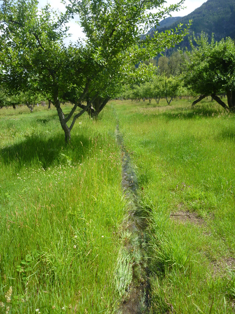 Buckner Homestead