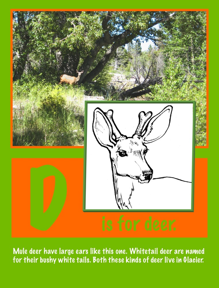 Deer and deer habitat