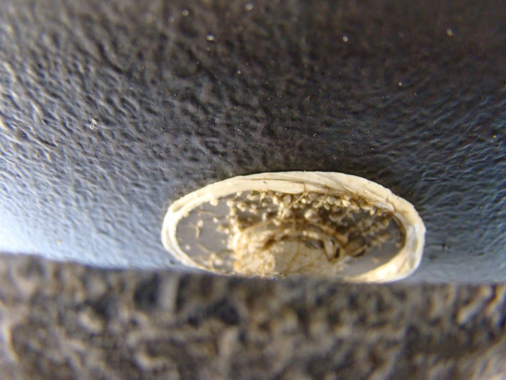 Underside of boat encrusted with mussels.