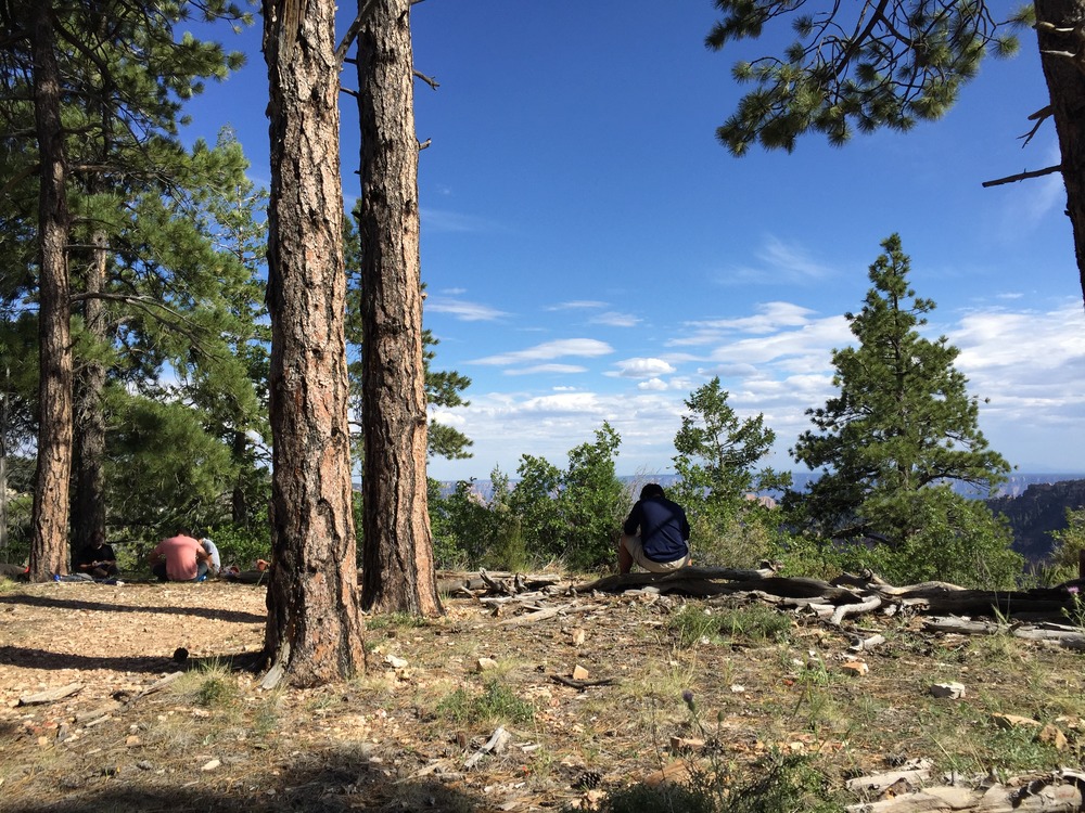 Participants on a Grand Canyon Unearthed enjoying some art and journaling time on the North Rim of Grand Canyon