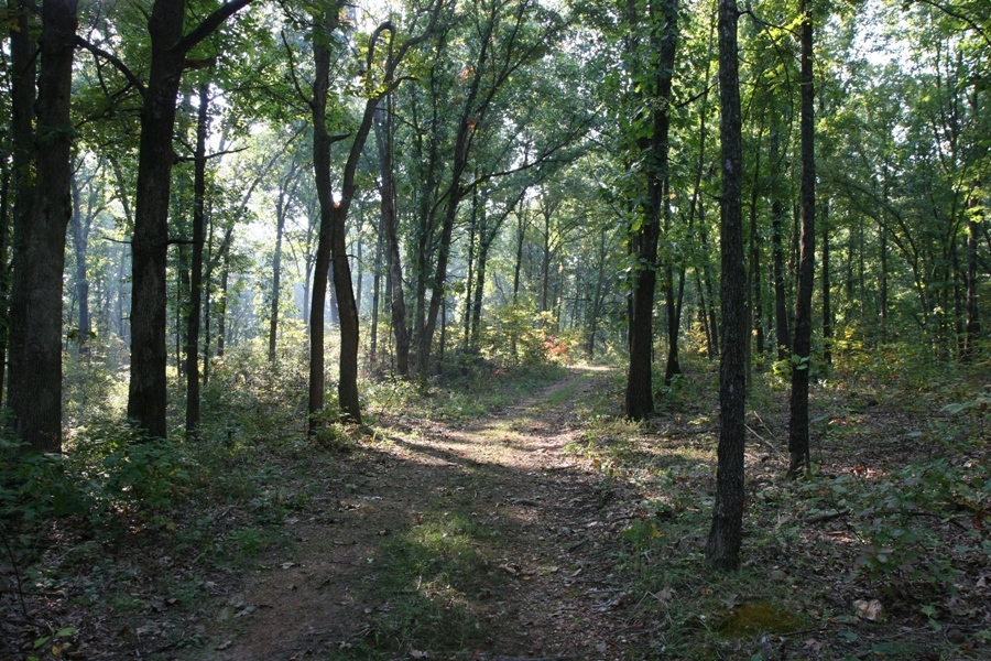 This shot was snapped looking down on Wire Road in the fall of 2008