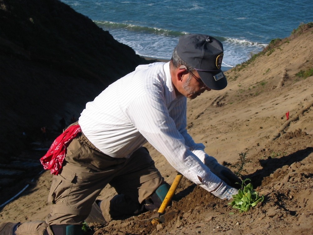 A volunteer plants along the steep slope of the exposed gulch