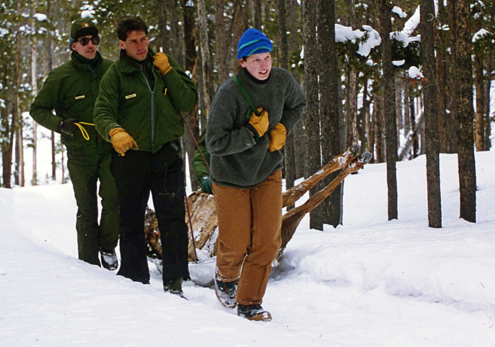 Three men are pulling an elk carcass across the snow.