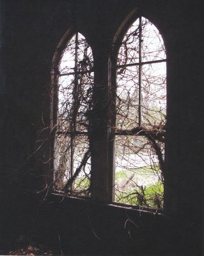 vine growing through church window