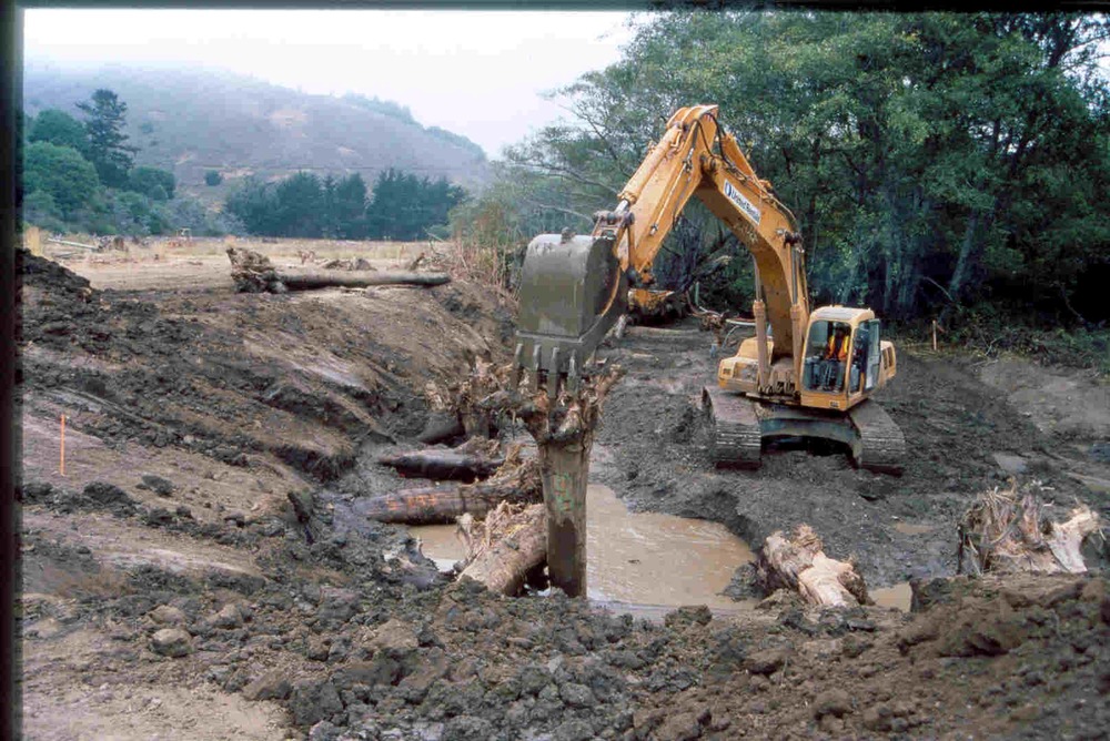 Installation of logs after berm removal for slope stabilization