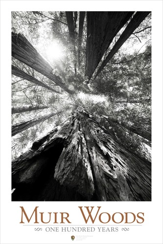 
Designer: Douglas Graves, © 2007 
Class: Digital Design 2 
Instructor: Bob Rigel