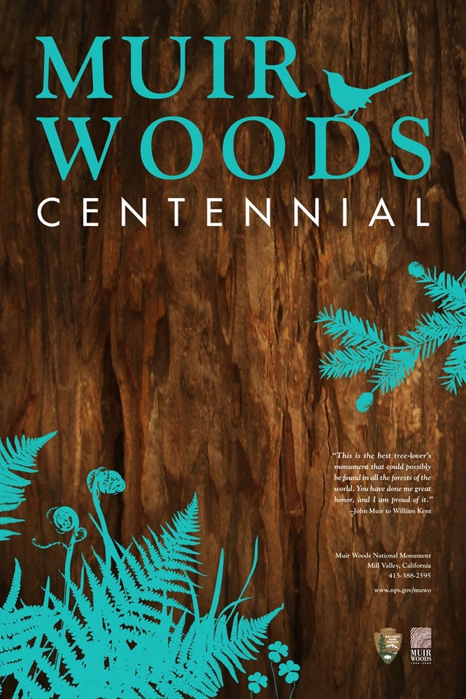 Designer: Mayuko Hatano, © 2007 Class: Digital Design 2 Instructor: Bob Rigel