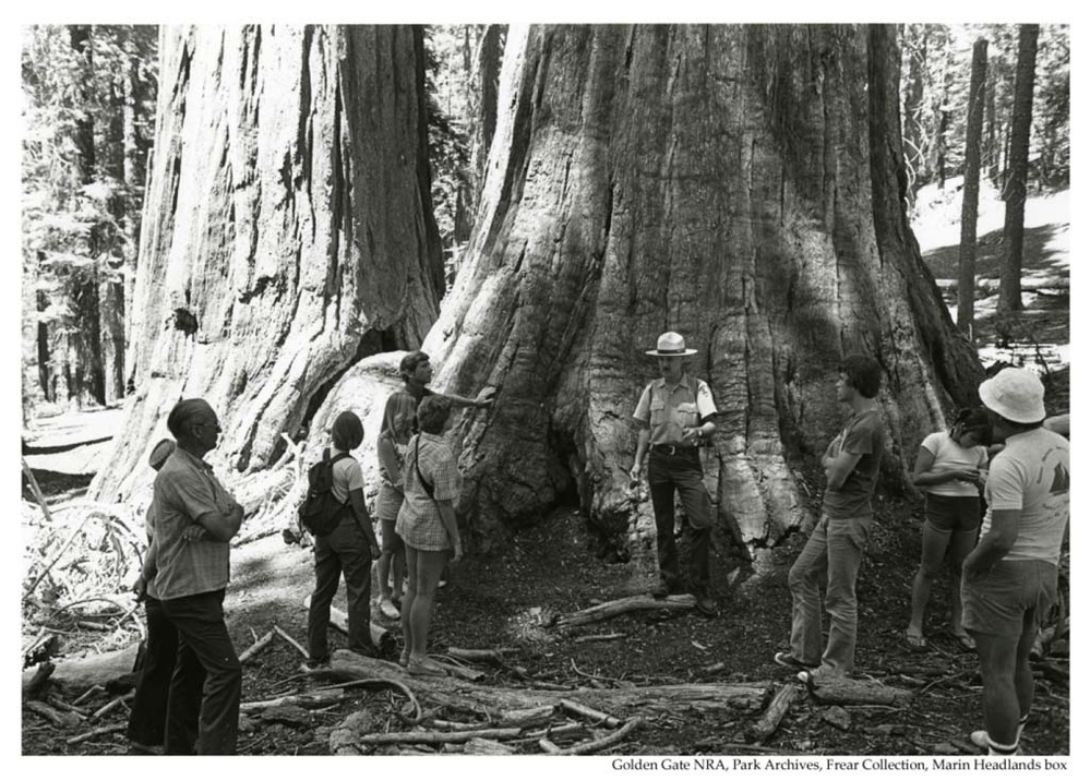 Ranger talking to visitors in front of giant tree at Muir Woods, 1978.
