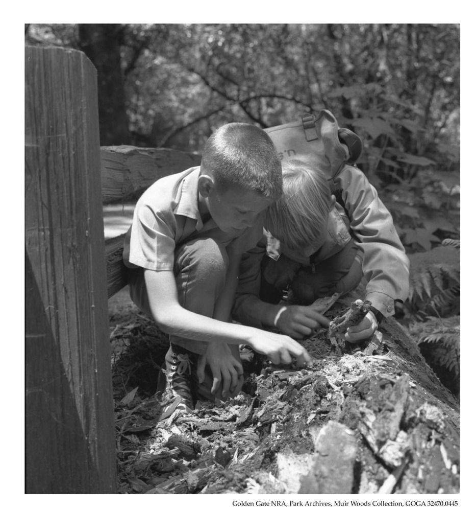 Children on a field trip as part of the Environmental Study Area Teacher workshops. Old Mill School of Mill Vally, CA. May 1969. Photograph taken by; Charles Gebler, Regional Naturalist and Glen Kaye, Park Naturalist.
